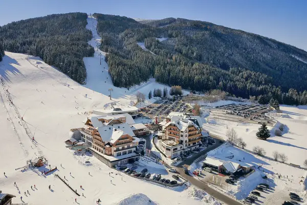 ALMGUT Mountain Wellness Hotel